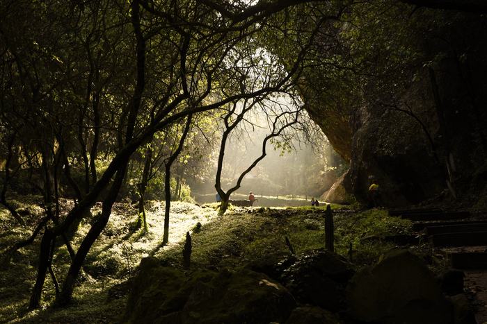 Earth and Light