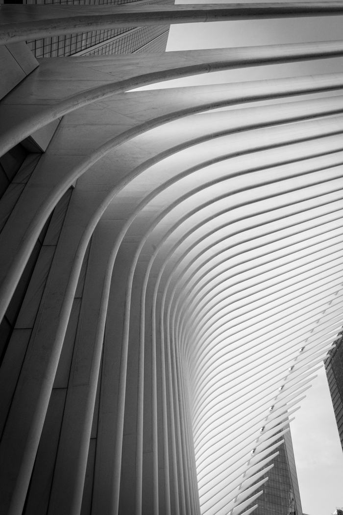Arquitectura